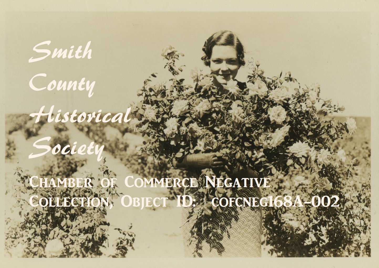 Chamber of Commerce Negative Collection, Object ID: cofcneg168A-002