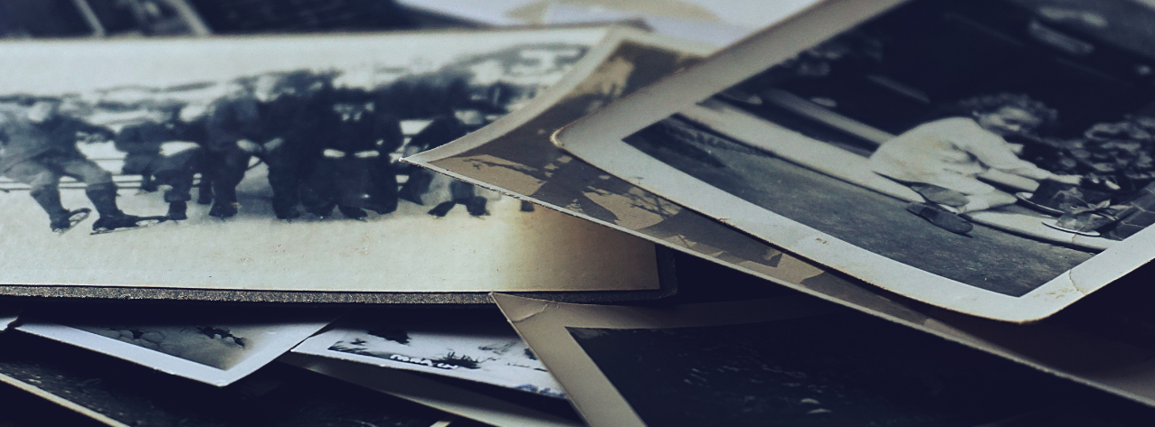 organic-farming-illustrations-03